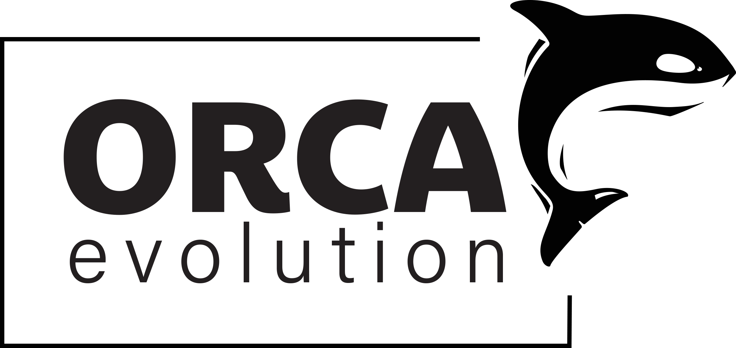 ORCA-Evolution